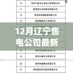 辽宁售电公司引领变革，智能售电系统震撼发布，科技魅力改变生活