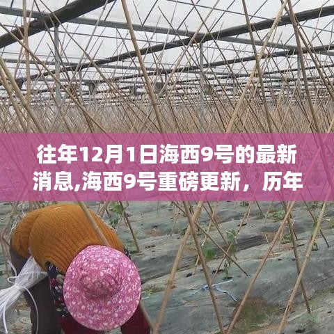 海西9号历年12月1日科技巅峰更新，引领生活新纪元重磅消息