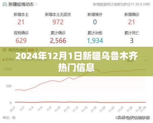 新疆乌鲁木齐热门信息速递，2024年12月1日最新动态