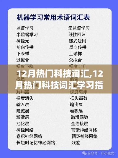 零基础入门指南，掌握十二月热门科技词汇，轻松跟上科技新趋势