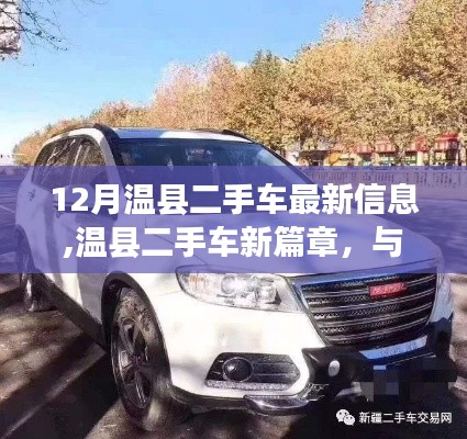 温县二手车最新信息，与自然美景的邂逅，开启宁静之旅