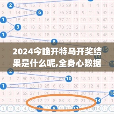 2024今晚开特马开奖结果是什么呢,全身心数据计划_BIM44.745经典版