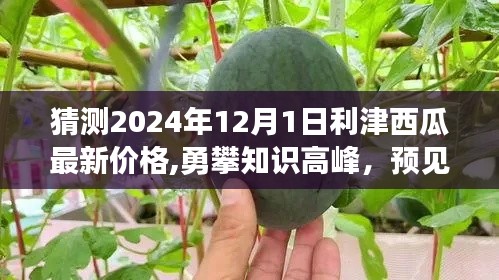 勇攀知识高峰，预测利津西瓜未来价格，学习变化成就梦想新篇章（最新预测）