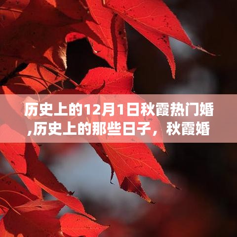 历史上的那些日子，秋霞婚礼与寻找内心平静的旅程——12月1日热门婚回顾