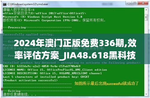 2024年澳门正版免费336期,效率评估方案_JIA48.618黑科技版
