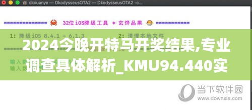 2024今晚开特马开奖结果,专业调查具体解析_KMU94.440实用版