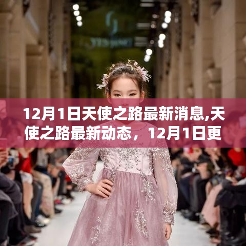 12月1日天使之路更新报告，最新消息与动态汇总