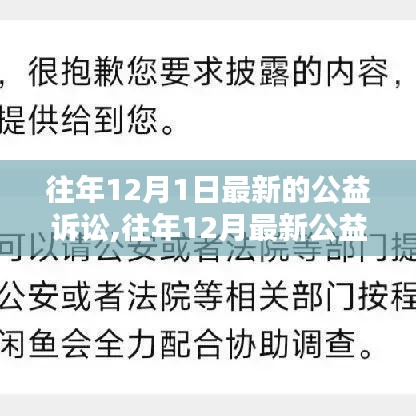 小红书体深度解析，往年12月最新公益诉讼动态概览