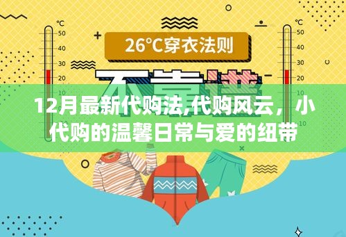 最新代购法下的代购风云，小代购的温馨日常与爱的纽带