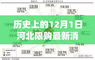 河北楼市调控新动向，深度解读限购政策调整历程与影响，最新消息一览无余