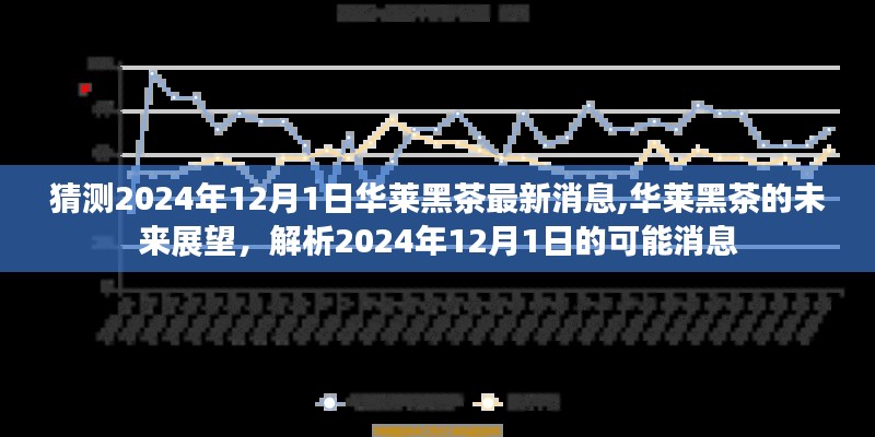 华莱黑茶最新动态解析，未来展望与2024年最新消息猜想