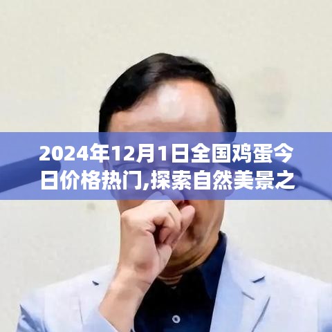 全国鸡蛋价格背后的故事，启程探索自然美景与心灵净土的旅程（2024年12月1日）