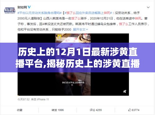 十二月一日，历史上的涉黄直播平台揭秘与网络安全必要性探讨