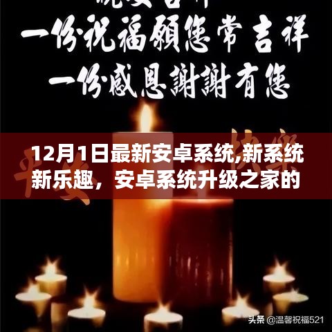 安卓系统升级之家，新系统新乐趣，温馨日常体验升级