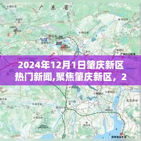 聚焦肇庆新区，多元观点下的热门新闻探析（2024年12月1日）