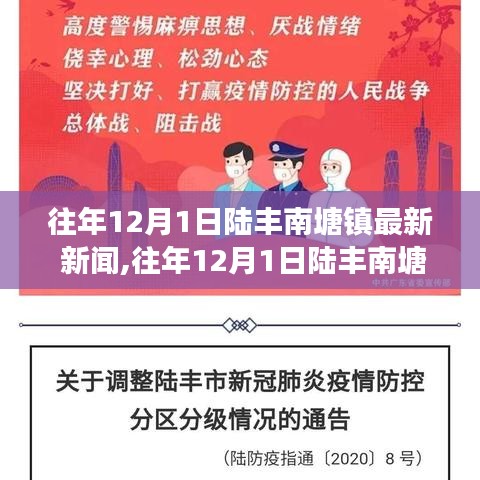 往年12月1日陆丰南塘镇最新新闻深度解析，特点、用户体验与竞争态势综述