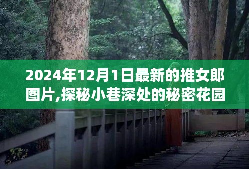 探秘小巷深处的秘密花园，特色小店与最新推女郎图片之旅