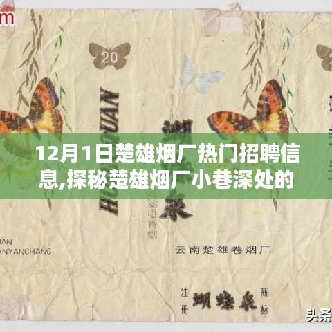 揭秘楚雄烟厂招聘内幕与小巷独特风味，12月1日热门招聘信息汇总