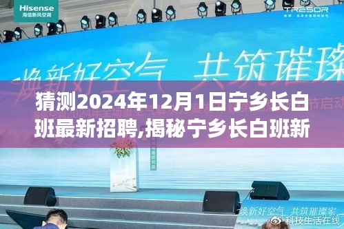 揭秘宁乡长白班最新招聘，探寻美景之旅与内心宁静港湾的启程