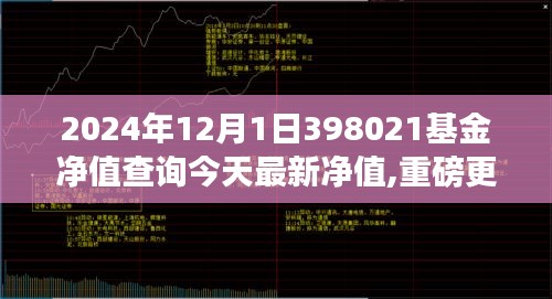 揭秘2024年12月1日398021基金最新净值，洞悉投资新动向