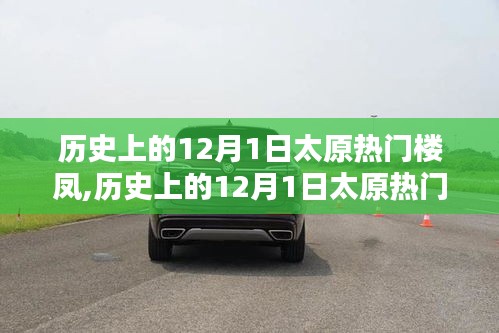 历史上的太原热门楼凤探秘，揭秘十二月一日的神秘面纱