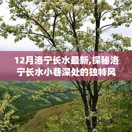 探秘洛宁长水小巷深处的独特风味，特色小店揭秘标题，洛宁长水小巷深处的独特风味，一家隐藏的特色小店迎来冬日新篇章