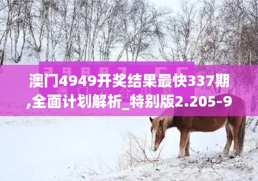 澳门4949开奖结果最快337期,全面计划解析_特别版2.205-9