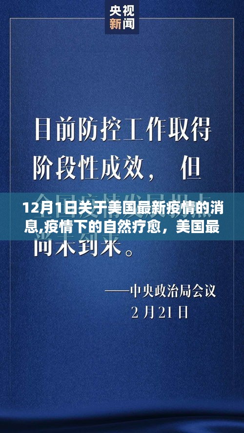 美国最新疫情动态与心灵自然疗愈之旅