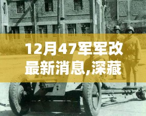 揭秘，军改背景下，一家特色小店的独特魅力与深藏小巷的瑰宝——最新关于第47军军改消息解读