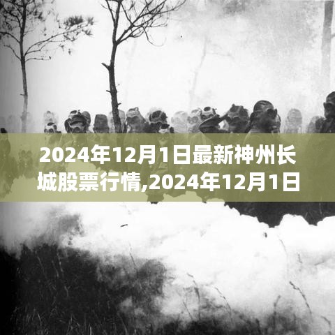 2024年12月1日神州长城股票行情深度解析