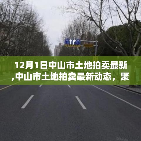 聚焦中山市土地拍卖最新动态，12月1日热点事件回顾
