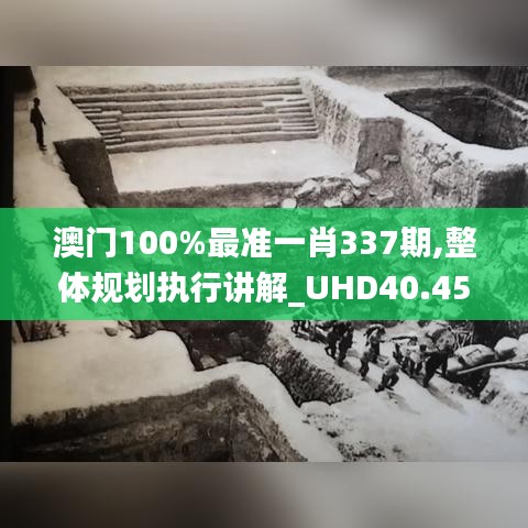 澳门100%最准一肖337期,整体规划执行讲解_UHD40.456-1