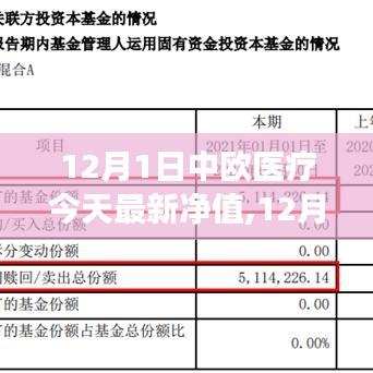 中欧医疗之旅，最新净值背后的暖心故事
