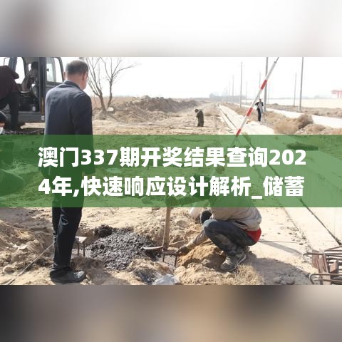 澳门337期开奖结果查询2024年,快速响应设计解析_储蓄版24.777-2