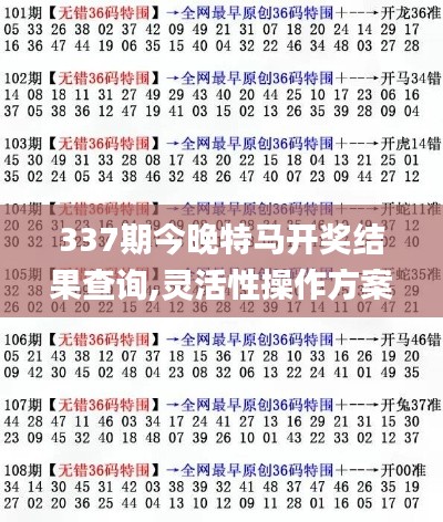 337期今晚特马开奖结果查询,灵活性操作方案_网页版31.616-9