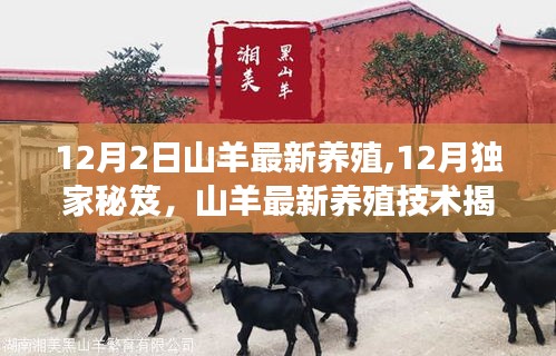 揭秘高效养殖新时代，山羊最新养殖技术独家秘笈揭秘！
