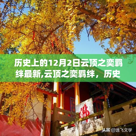历史上的十二月二日，云顶之奕羁绊的演变与影响