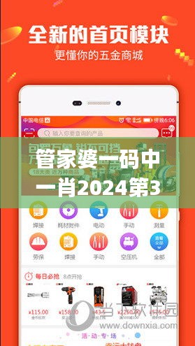 管家婆一码中一肖2024第337期,灵活解析方案_手游版152.396-8