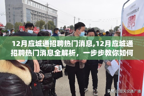 12月应城通招聘热门消息详解，成功应聘指南
