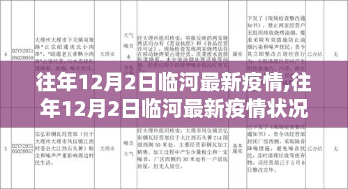 临河地区往年12月2日最新疫情深度解析及状况报告