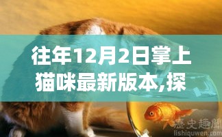 探秘巷弄深处的猫咪乐园，掌上猫咪最新版本奇妙之旅
