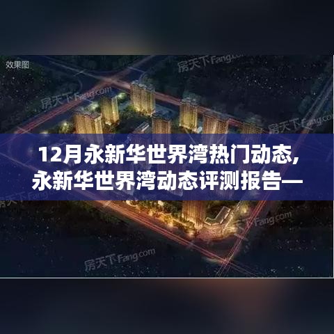 永新华世界湾十二月动态评测报告，深度解析产品特性与体验之旅