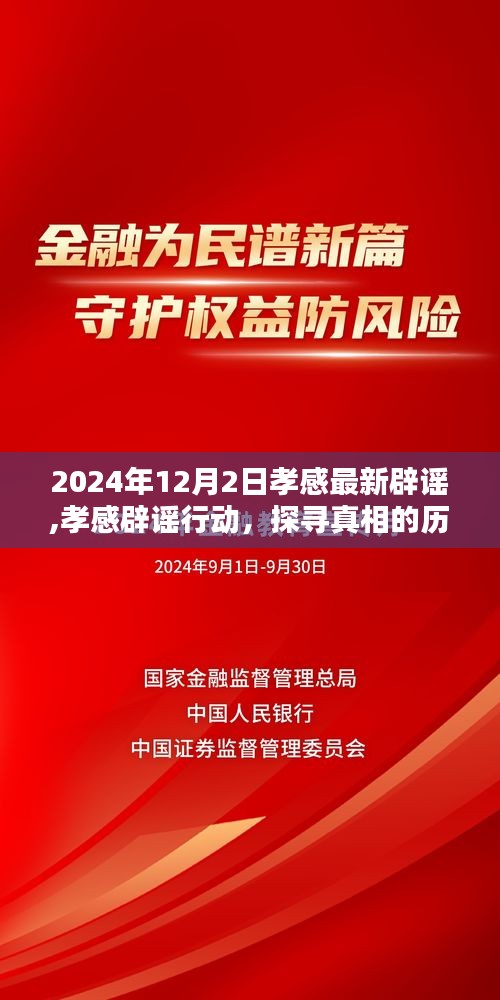 孝感辟谣行动纪实，探寻真相的历程与影响