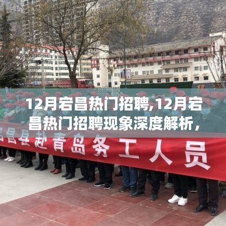 12月宕昌热门招聘现象深度解析，招聘热点背后的各方观点透视