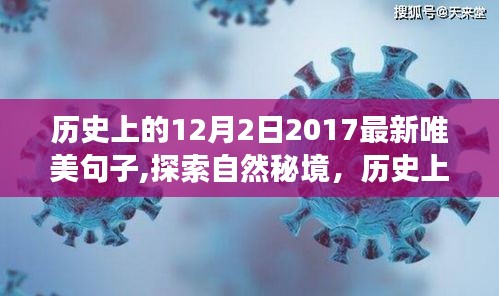 十二月二日探秘自然与历史，奇妙旅行的美妙句子回顾