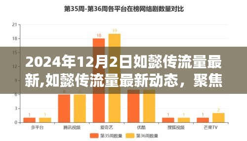 2024年如懿传最新流量动态，深度解析要点聚焦