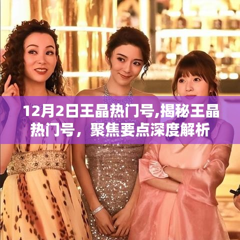 揭秘王晶热门号，深度聚焦与解析