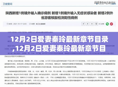 12月2日爱妻秦玲最新章节目录全攻略，轻松掌握获取方法