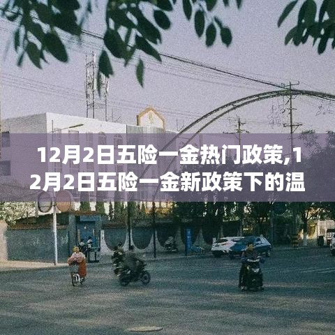 精耕细作 第4页