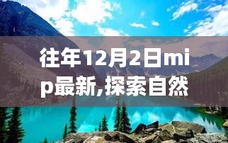 往年12月2日MIP新发现，自然美景探索之旅与内心平静的冒险